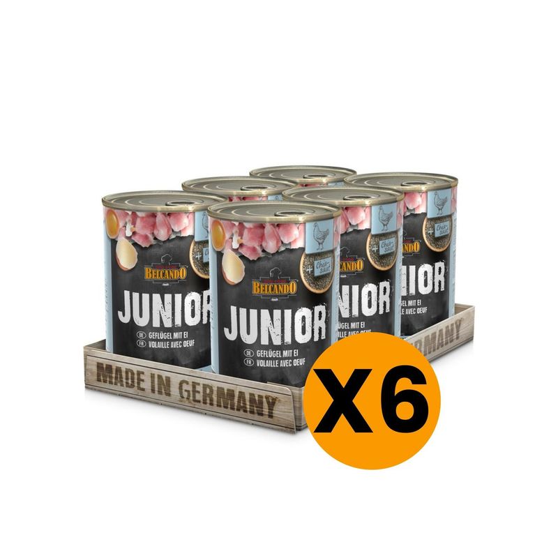 BELCANDO - ALIMENTO BELCANDO JUNIOR AVE Y HUEVO LATA 400GR PACK X6