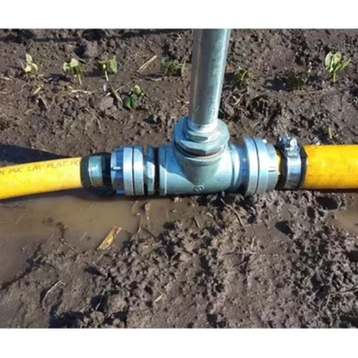 KUANGYE - Pack 10 2 Pulgadas Abrazadera Alta Presion Manguera Plana