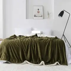 GENERICO - FRAZADA CON CHIPORRO VERDE 2 PLAZA PLUSH SHERPA TF