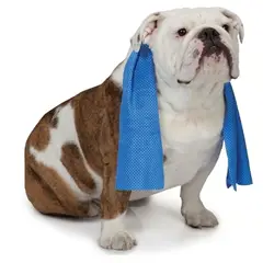 GENERICO - Toalla De Refrigeración Para Mascotas Reutilizable
