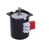 Motor spiedo torque 60 kg doble potencia 28W