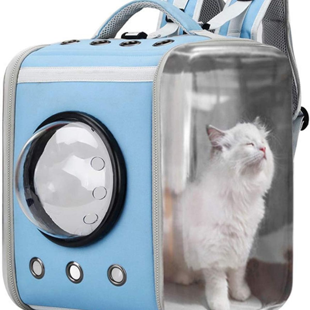 GENERICO - Mochila Transportadora para Mascotas Gato Perro Celeste