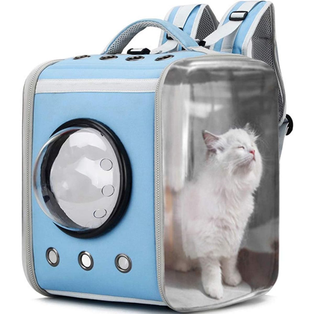 GENERICO - Mochila Transportadora para Mascotas Gato Perro Celeste