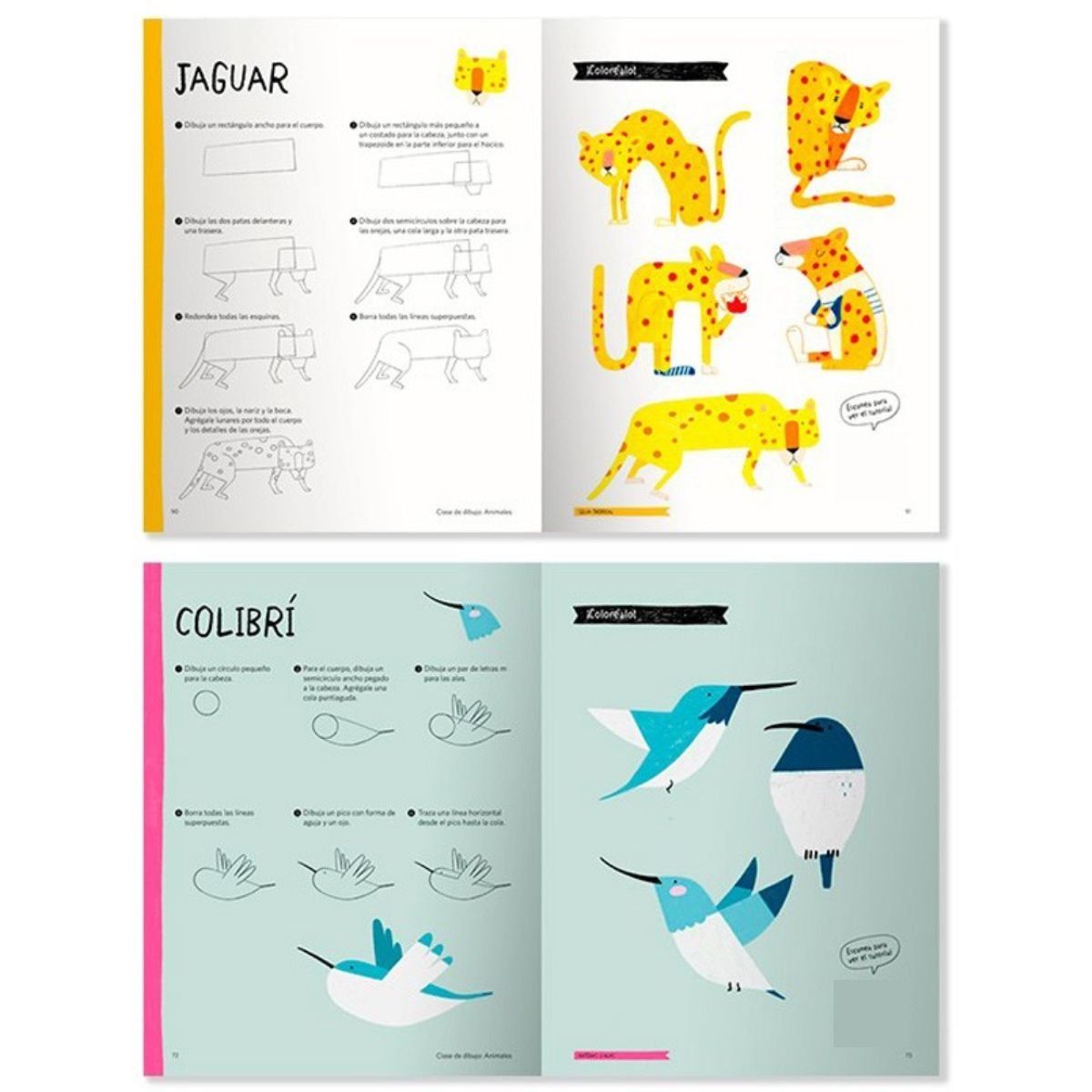 CONTRAPUNTO - Libro Clase de Dibujo Animales Heegyum Kim