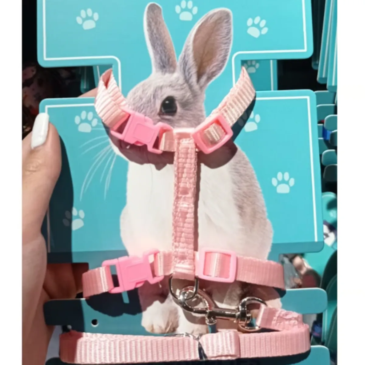 GENERICO - Arnes Para Conejo Colores Surtidos Mascotas