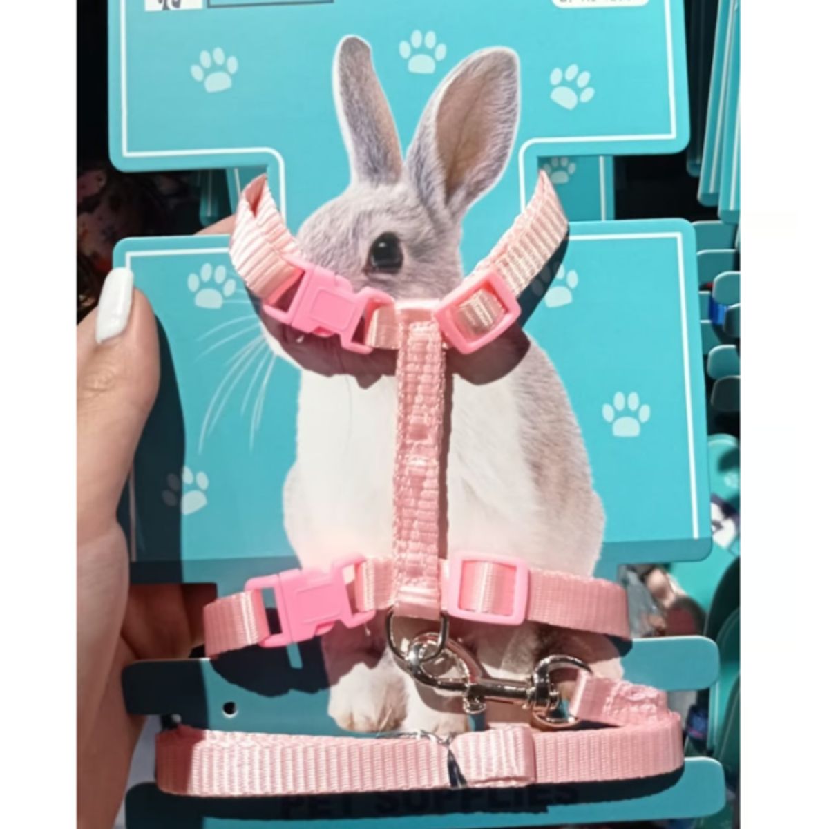 GENERICO - Arnes Para Conejo Colores Surtidos Mascotas