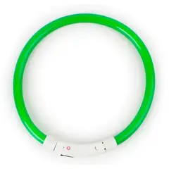 GENERICO - Collar Correa Para Perros Mascota Verde