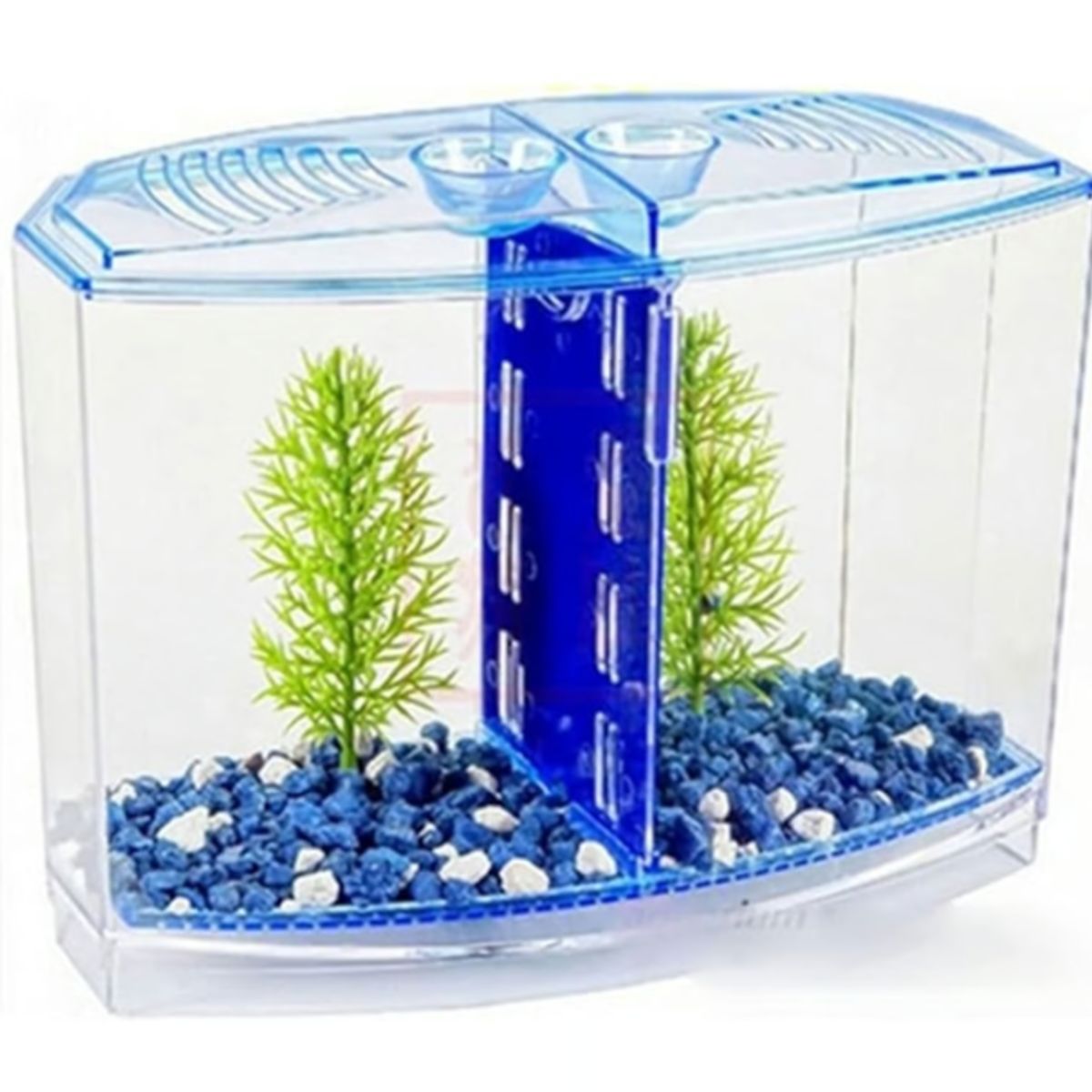 GENERICO - Peceras Pequeñas Arcylic Gupppy Baby Small Fish