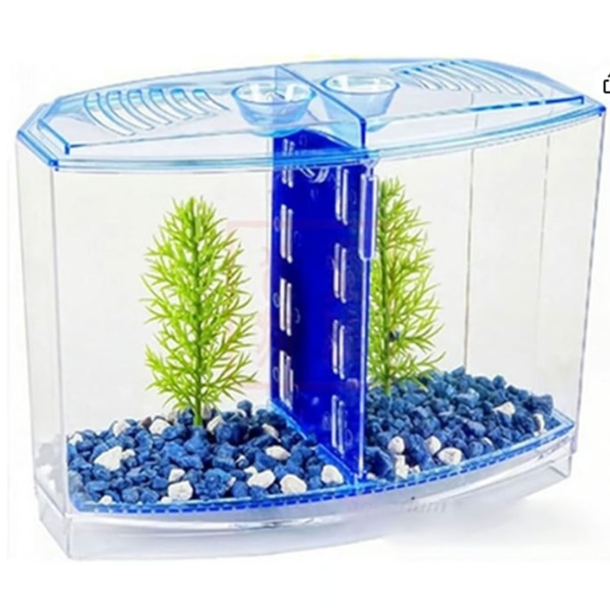 GENERICO - Peceras Pequeñas Arcylic Gupppy Baby Small Fish