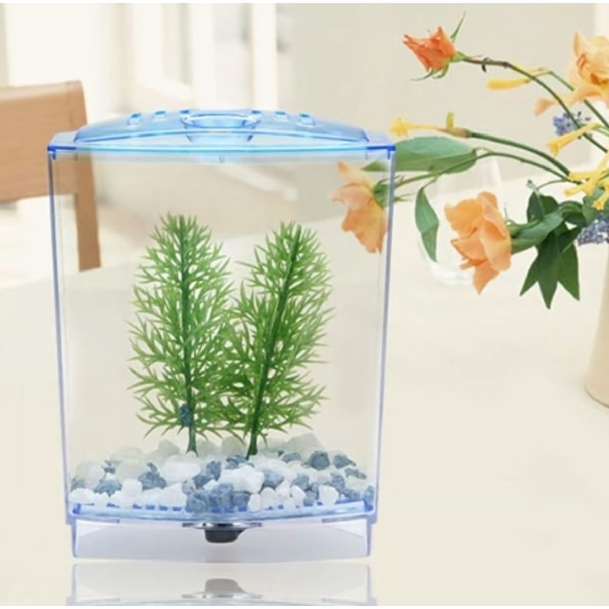GENERICO - Mini Tanque De Acuario Pecera Individual