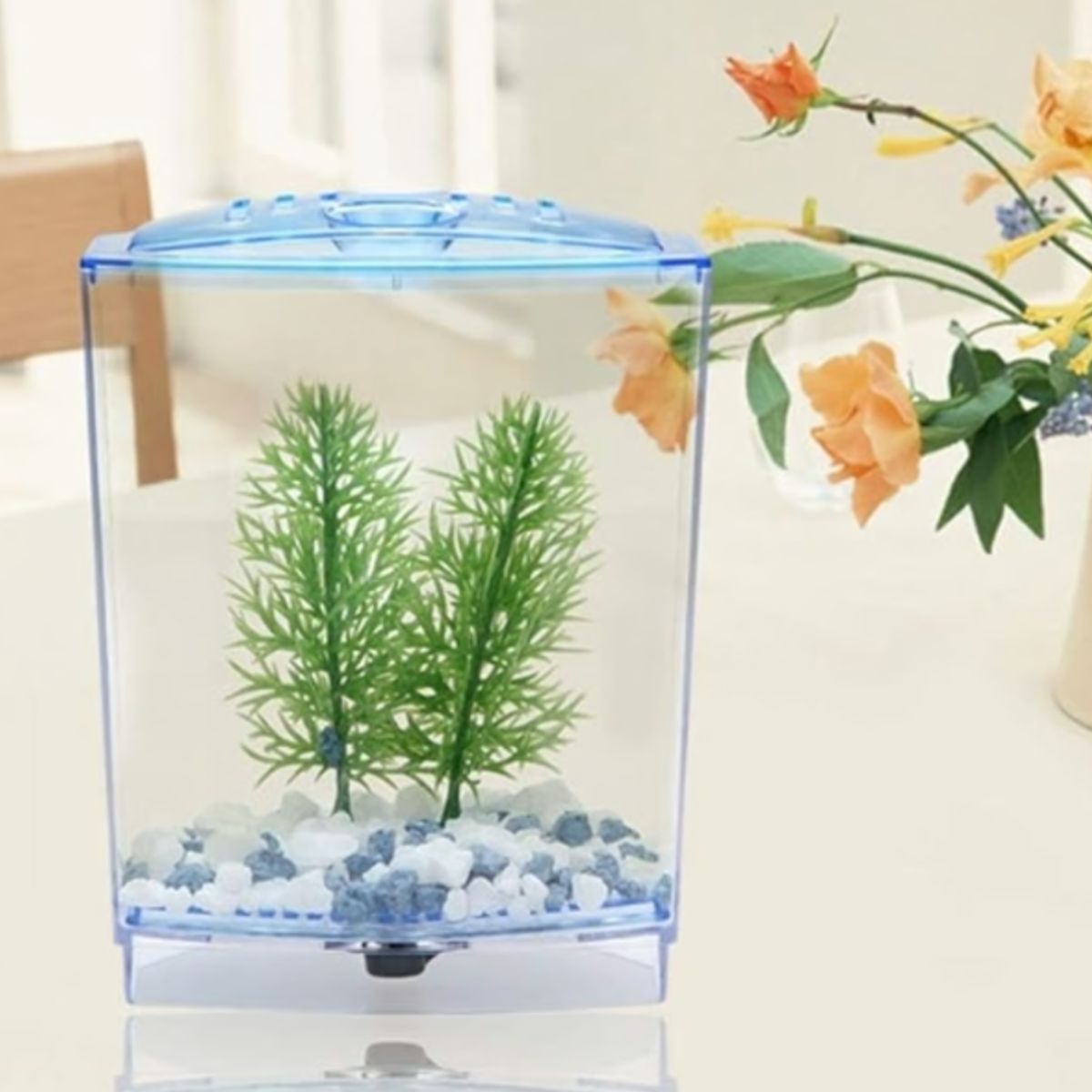 GENERICO - Mini Tanque De Acuario Pecera Individual