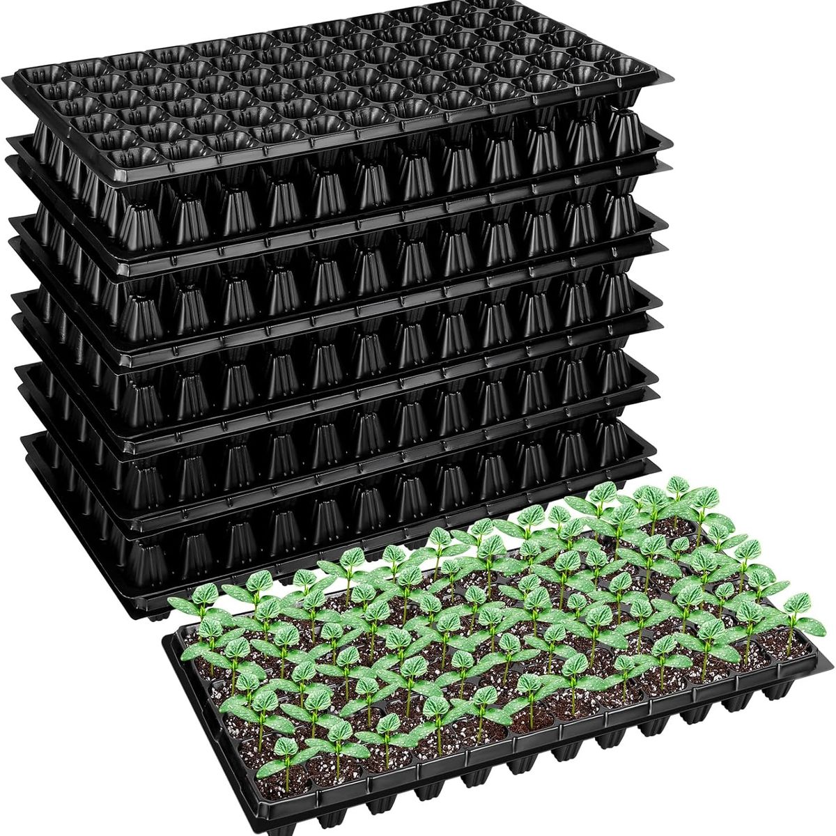 KUANGYE - Pack12 Almacigueras Bandejas Rígidas 200 Cavidades