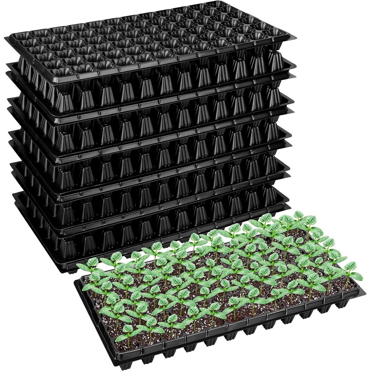 KUANGYE - Pack12 Almacigueras Bandejas Rígidas 200 Cavidades