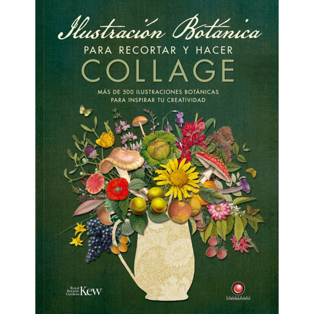 CONTRAPUNTO - Libro Ilustración Botánica para Recortar y hacer Collage