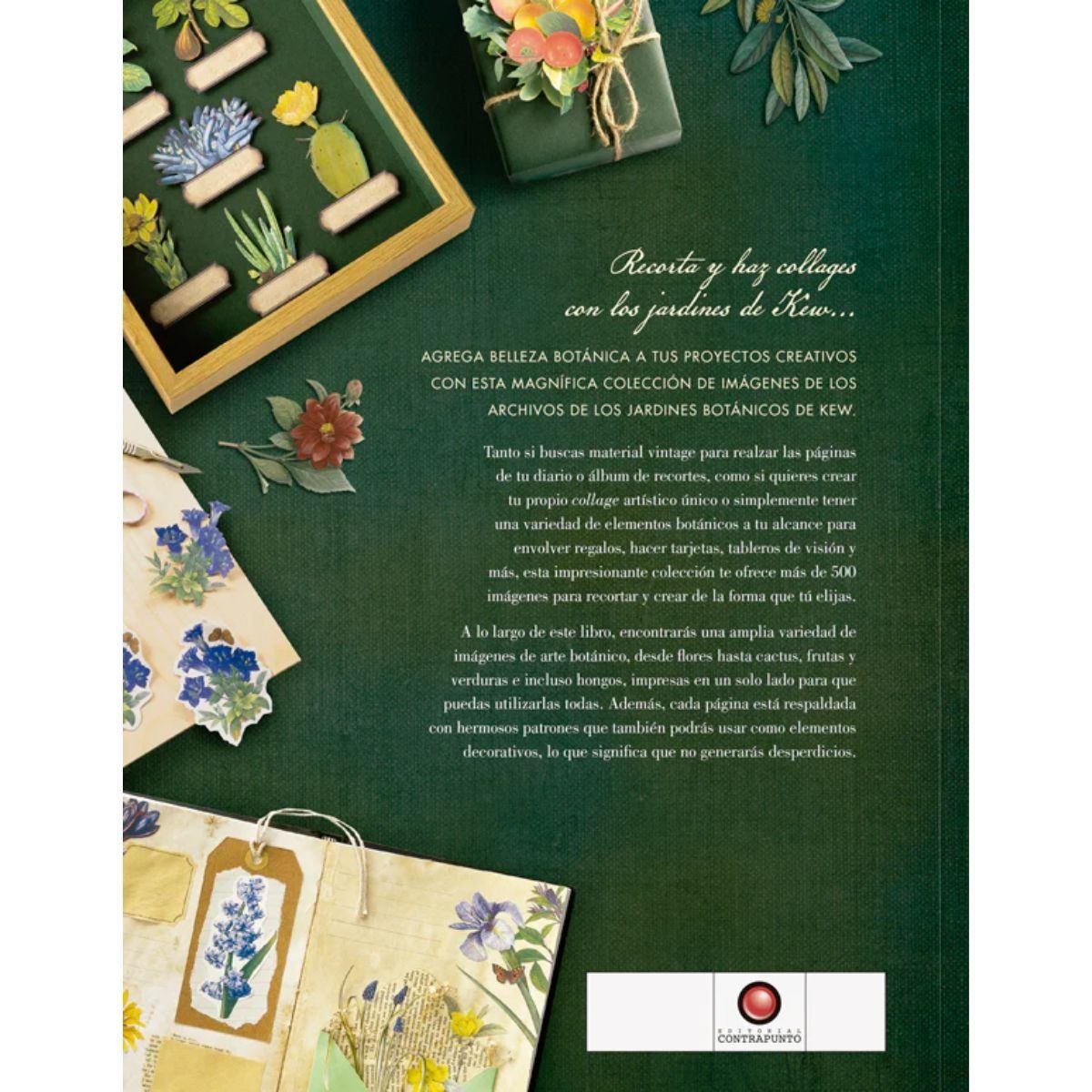 CONTRAPUNTO - Libro Ilustración Botánica para Recortar y hacer Collage
