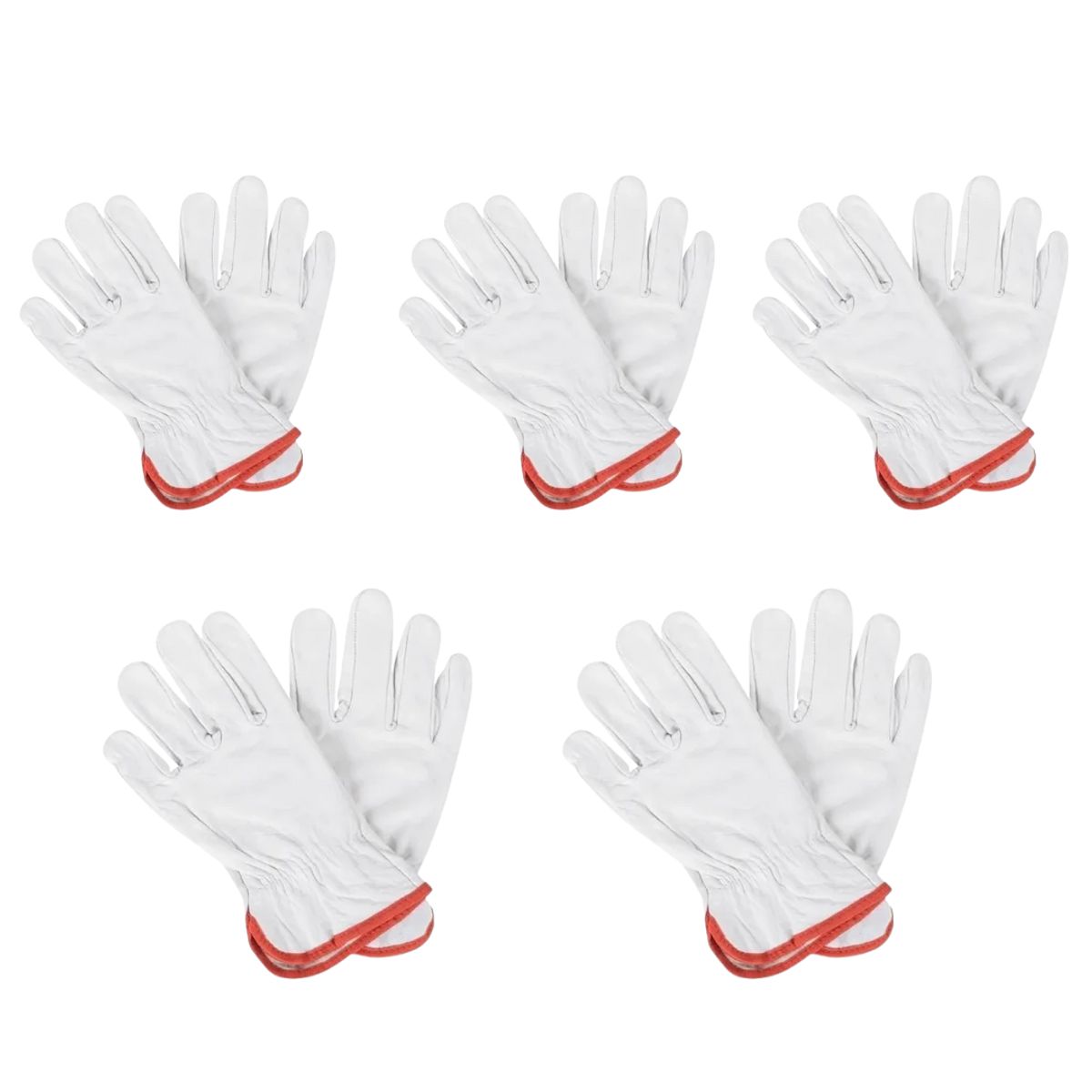 GENERICO - Guante Cabritilla Natural Sin Forro - Pack de 5 Pares