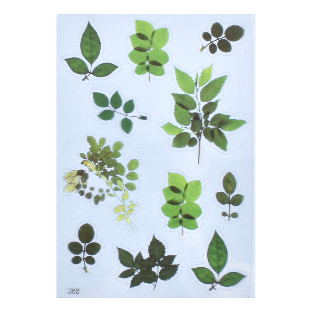 GENERICO - Stickers Láminas Hojas Verdes Varias Stickers Manualidades