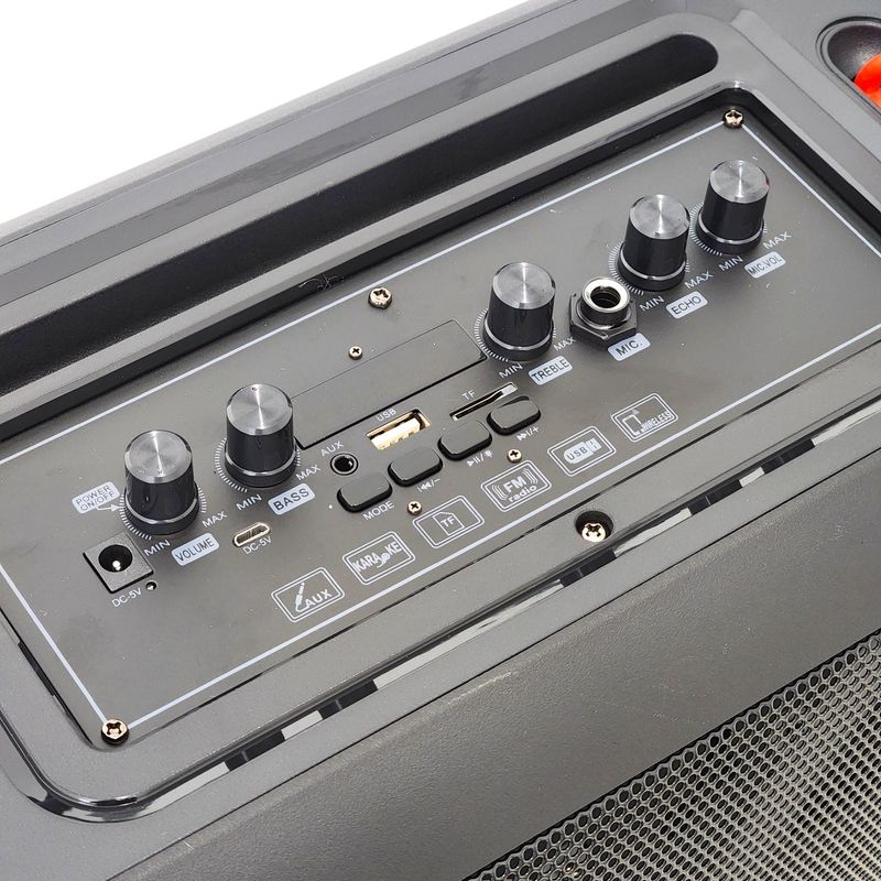 AUDIOPRO - Parlante Karaoke BT Con Control De Bajos Rgb AP02098