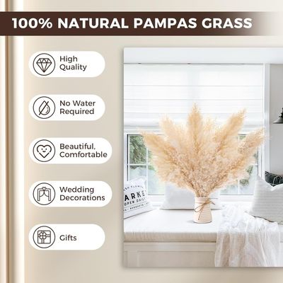 Imagen 2 del producto 5 Esponjosas Ramas Secas Decorativas para Decoracion Boho