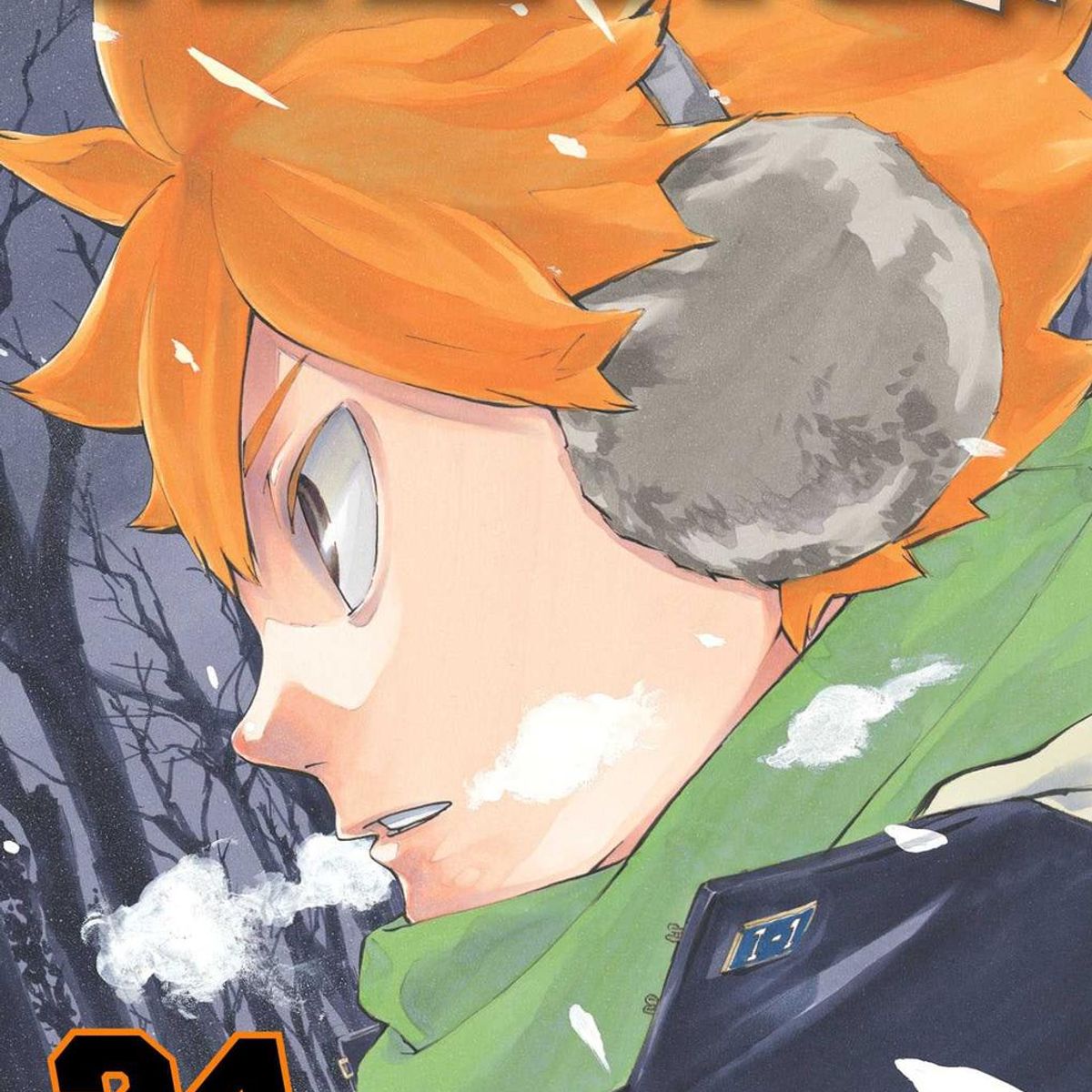 IVREA - Manga Haikyu!! 24 Ivrea Argentina