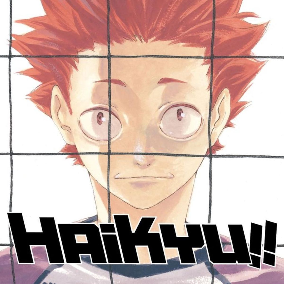IVREA - Manga Haikyu!! 20 Ivrea Argentina