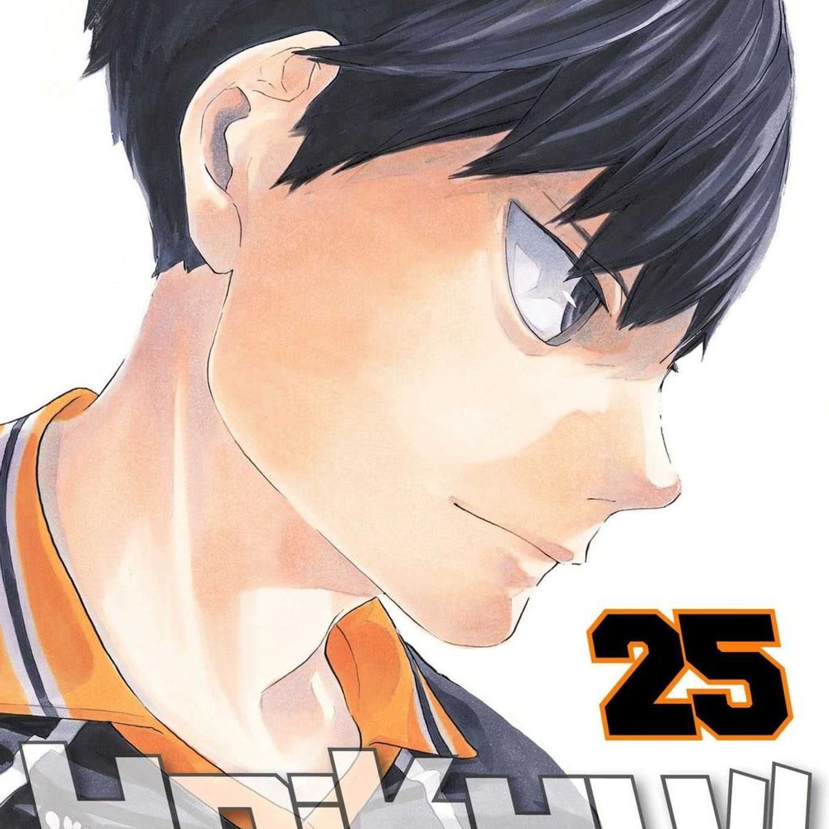 IVREA - Manga Haikyu!! 25 Ivrea Argentina