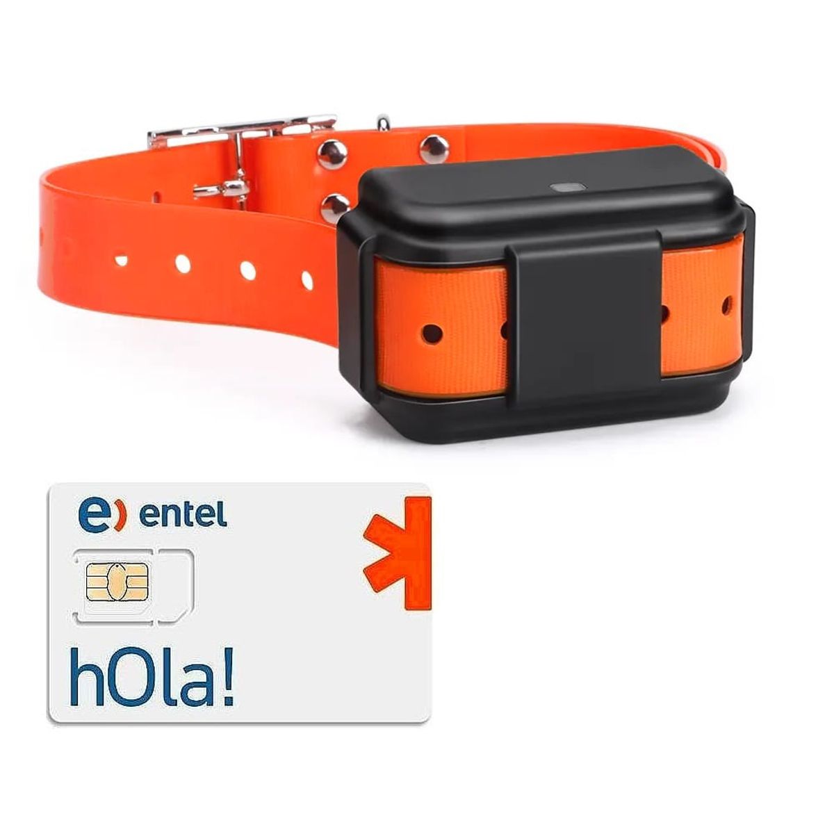 TKSTAR - LocalizadorGPS para mascotas TKSTAR TK919 4G GPS tracker con SIM