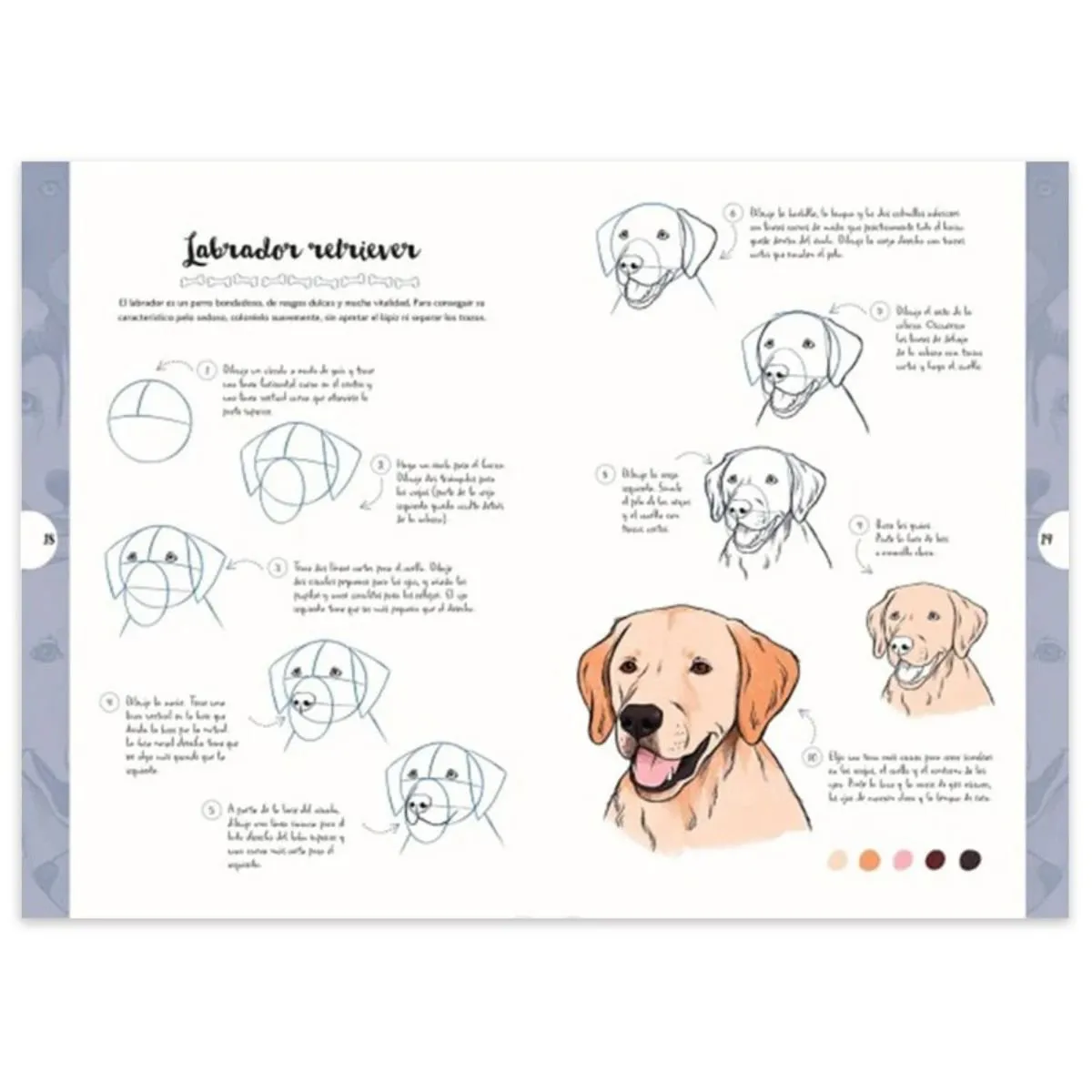 CONTRAPUNTO - Libro Dibujar en 10 Pasos Perros Justine Lecouffe