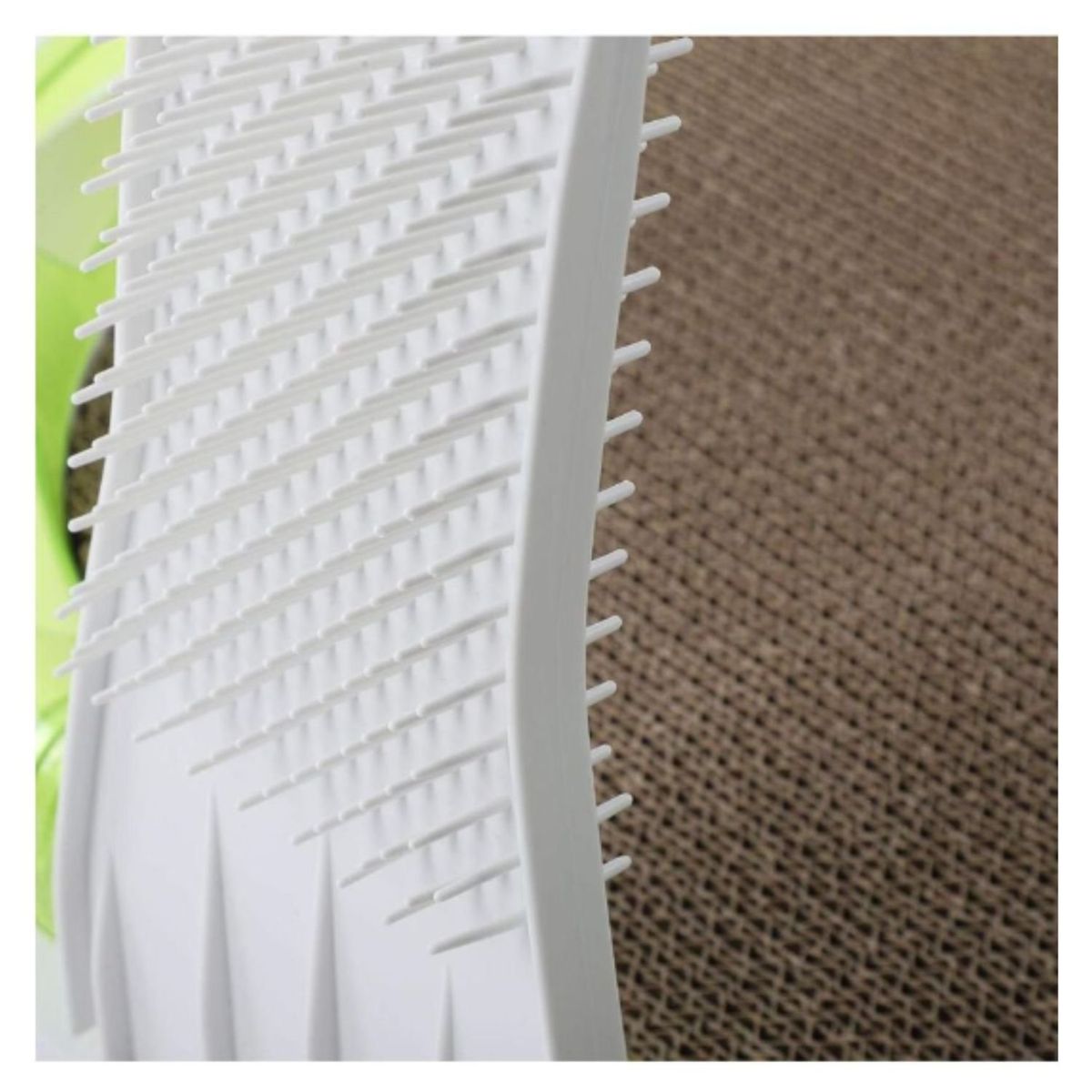 GENERICO - Juguete Rascador Interactivo Para Gato Pluma Pelota 4 en 1