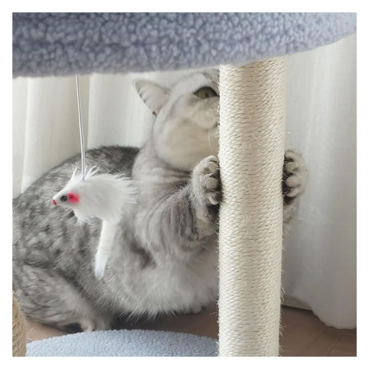 GENERICO - Rascador Juguete Para Gatos 49cm Altura 2 Pisos Azul Torre