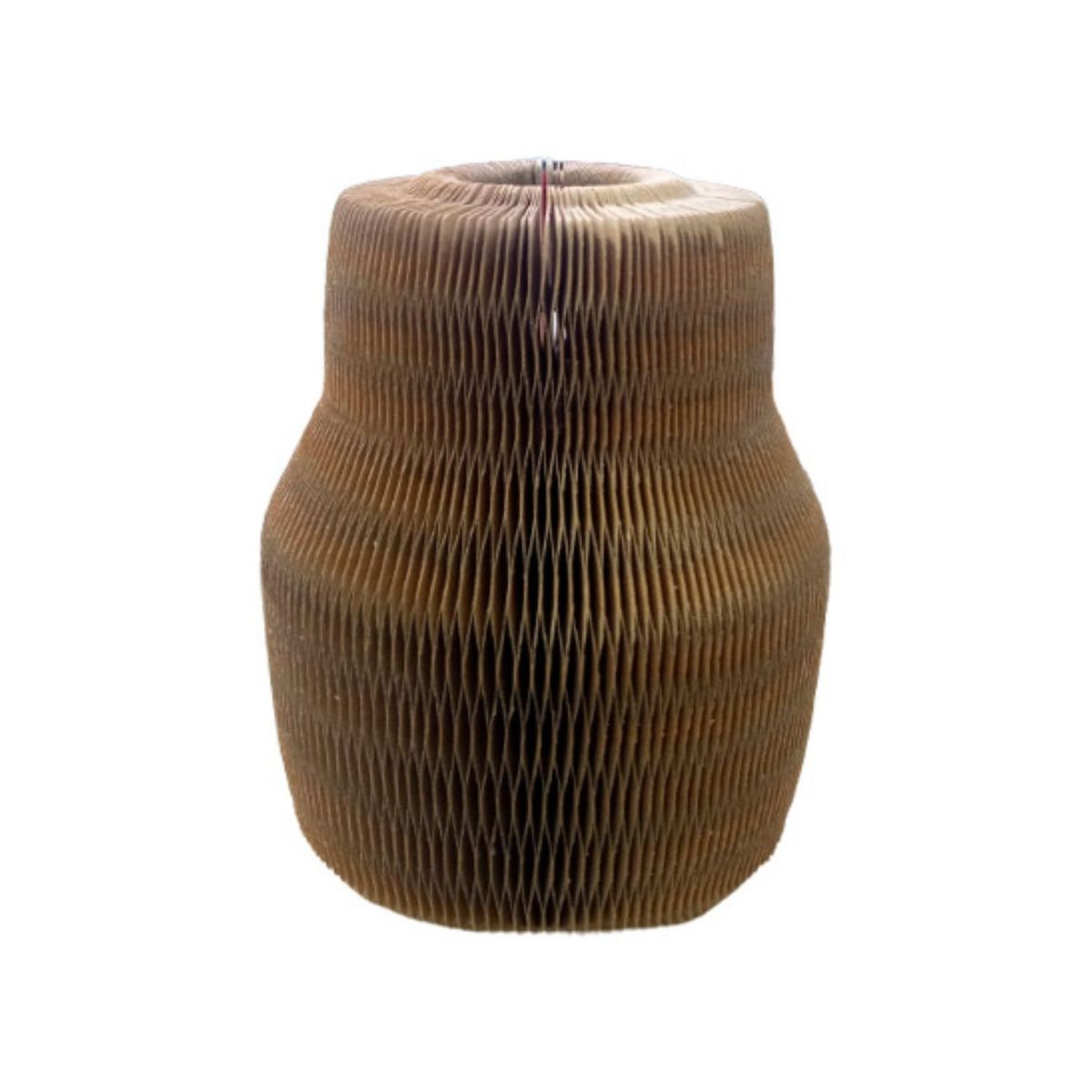 GENERICO - Rascador Interactivo Gatos Juguete Pelota Forma Carro Acordeon