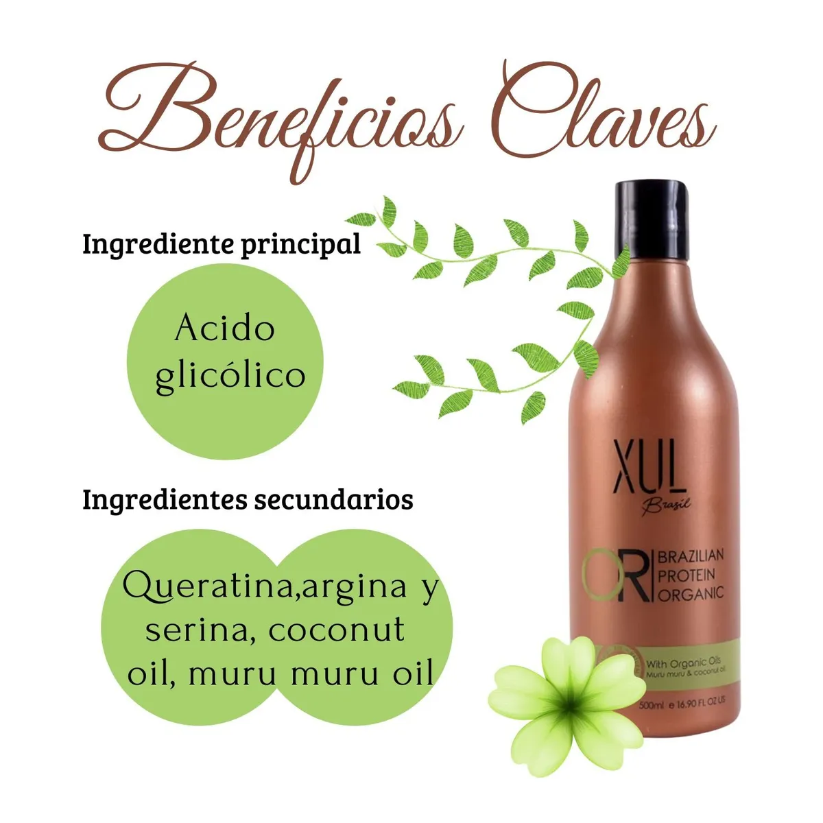 GAMA - Alisado Orgánico Protein Xul Brasil 500g en 1 Solo Paso Hidrata Brillo