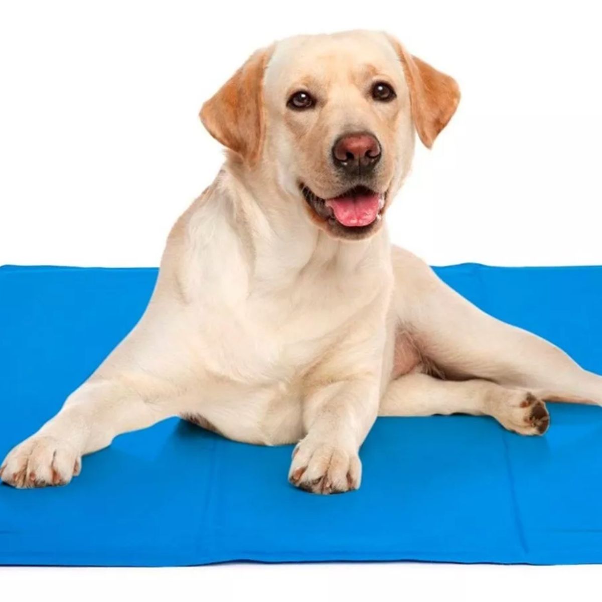 GENERICO - Manta Para Perro Refrescante Refrigerante Cool Mat 90x50cm L