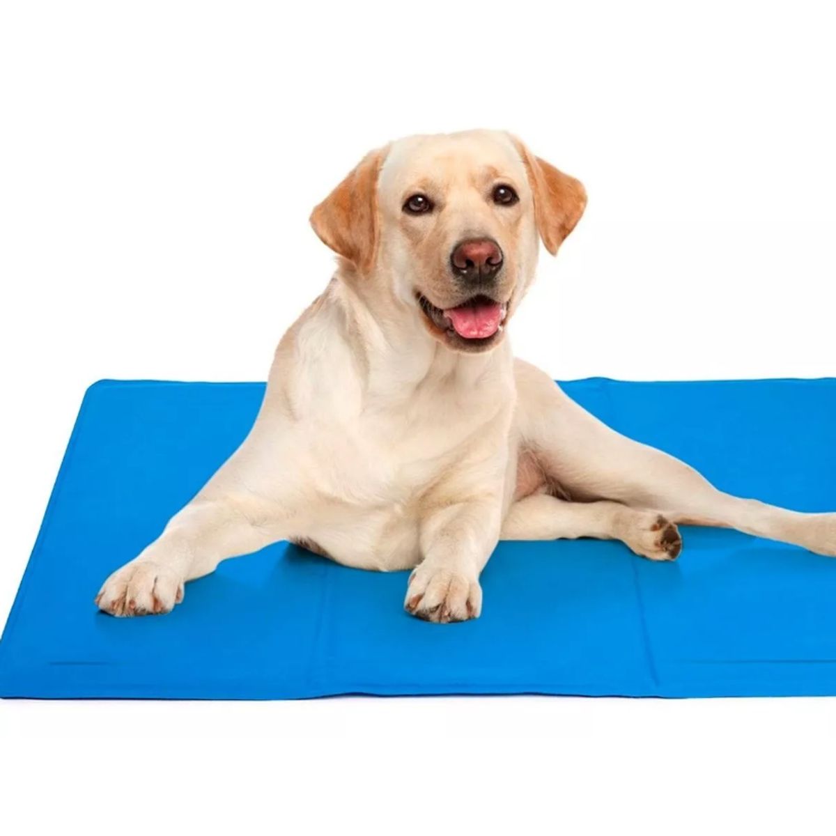 GENERICO - Manta Para Perro Refrescante Refrigerante Cool Mat 90x50cm L