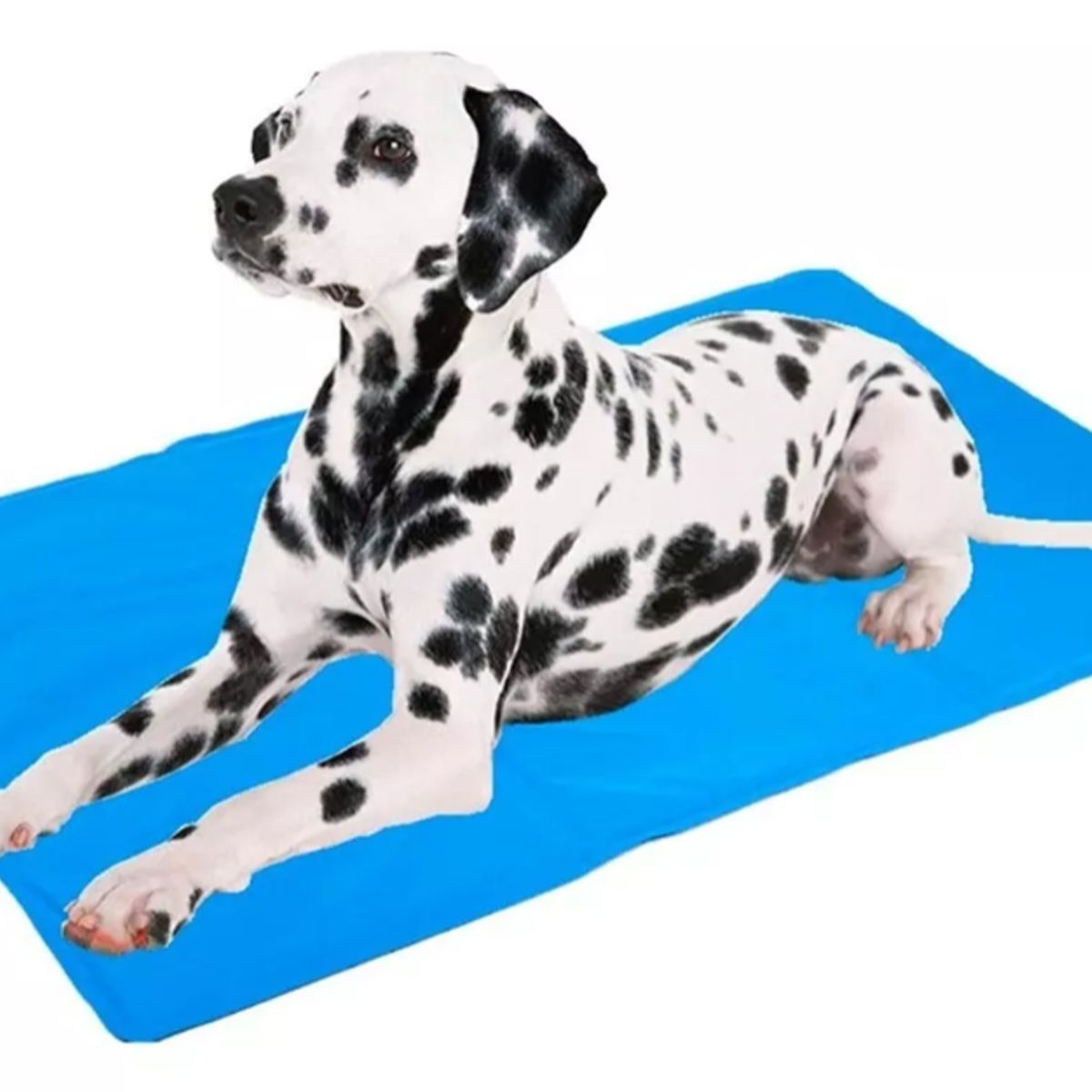 GENERICO - Manta Para Perro Refrescante Refrigerante Cool Mat 90x50cm L