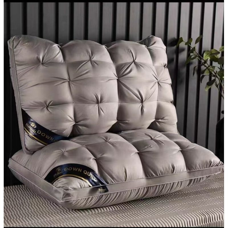 ANGELES DEL HOGAR - Pack 2 Almohadas Plumon Retorcido 48x74 cm Gris