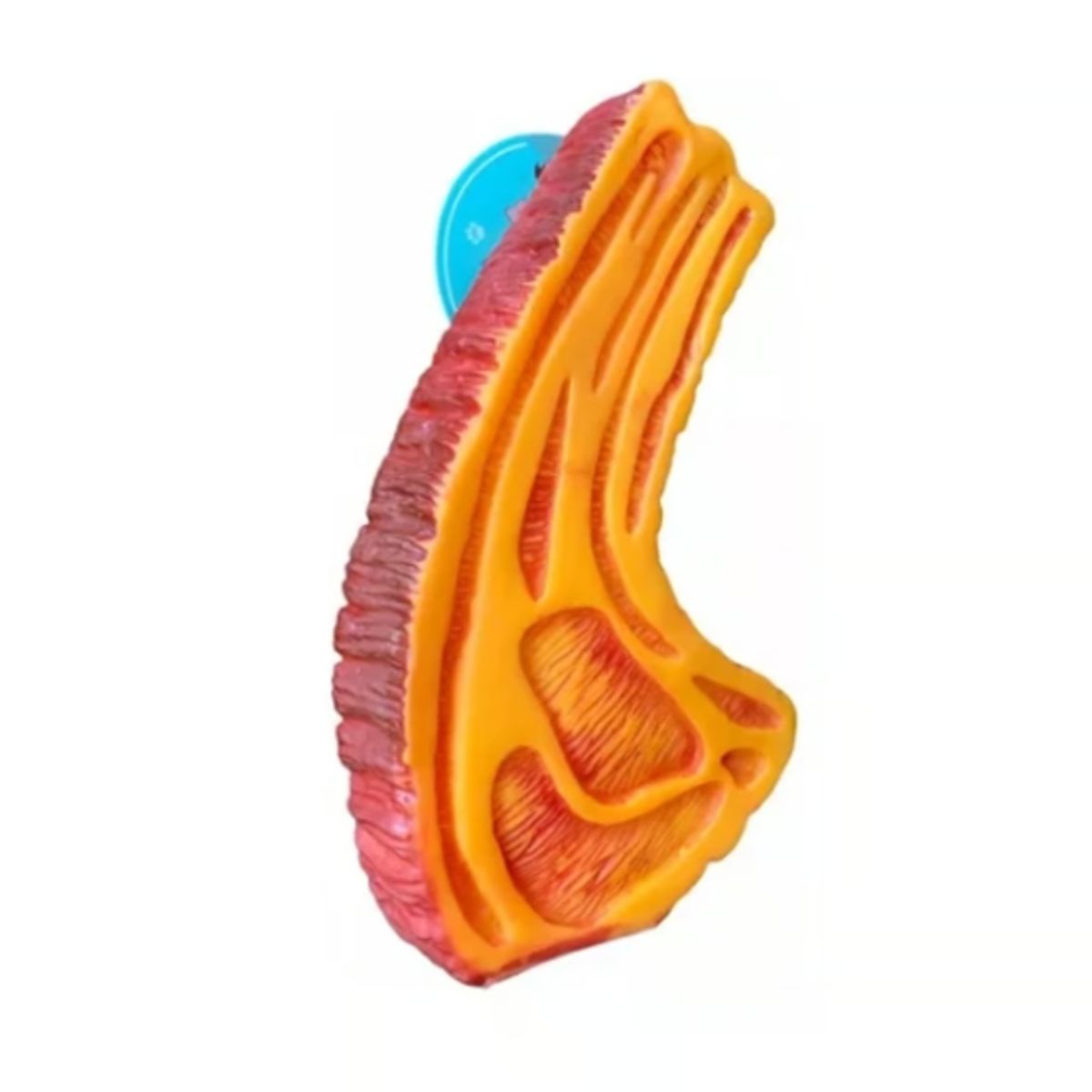 GENERICO - Juguete Chuleta Con Sonido Para Mascota Perro