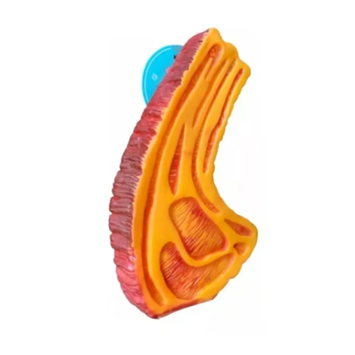 GENERICO - Juguete Chuleta Con Sonido Para Mascota Perro