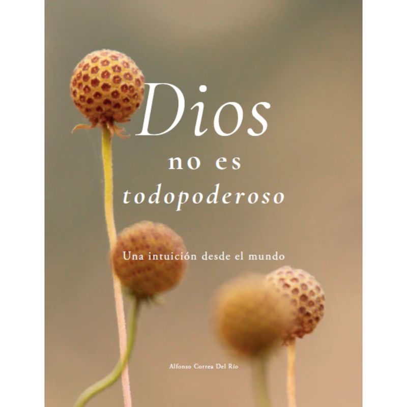 RETAILEXPRESS - Dios No Es Todopoderoso: Una Intuición Desde El Mundo