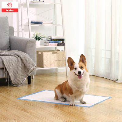 Imagen 2 del producto 80 Pañales Sabanillas Entrenamiento Perro Talla L 60x60cm