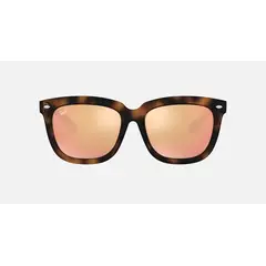 RAY BAN - Anteojos Lentes de Sol Classic RB4262D 710/2Y 57 Tortuga