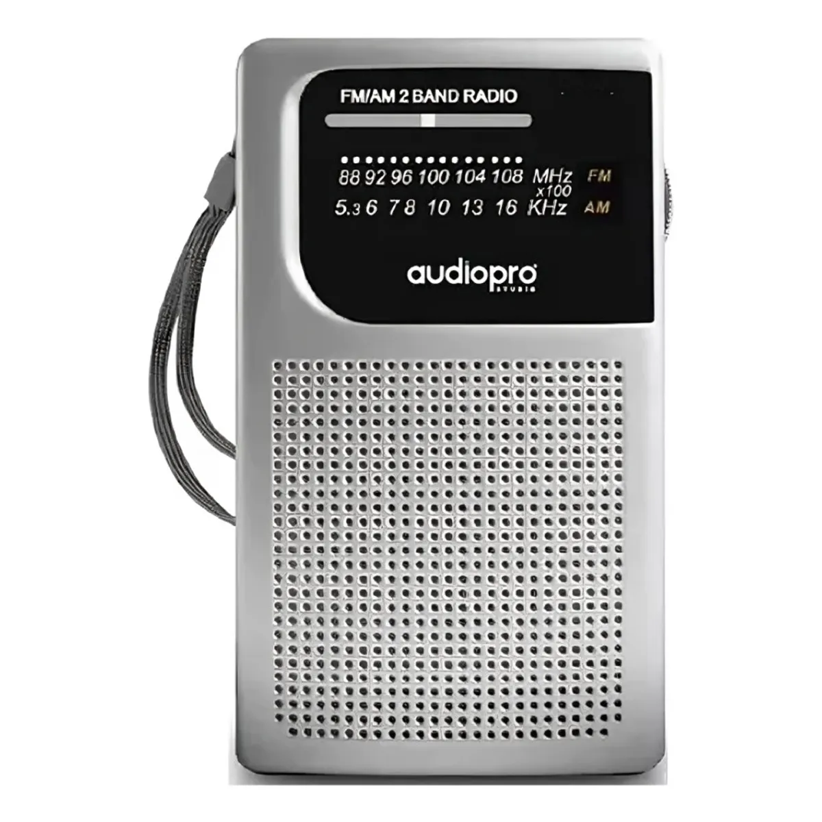 OEM - RADIO PORTATIL A PILAS AUDIO PRO