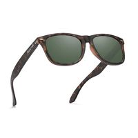 Lente de sol polarizado hombre mujer filtro UV Denver