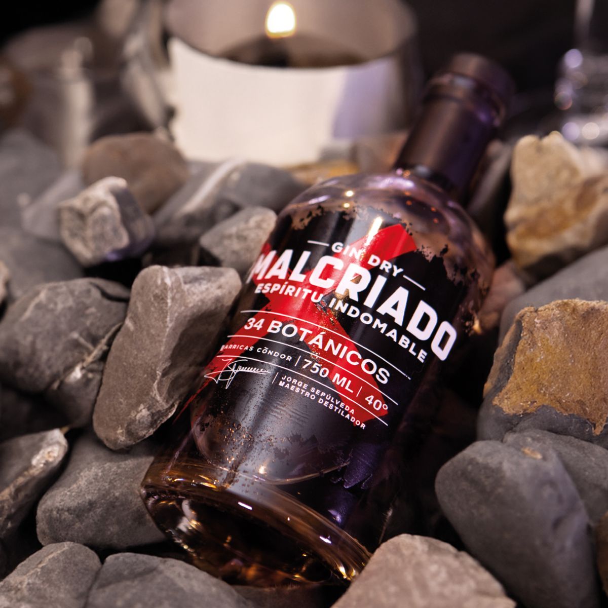 GENERICO - Gin Malcriado  The Branican Company