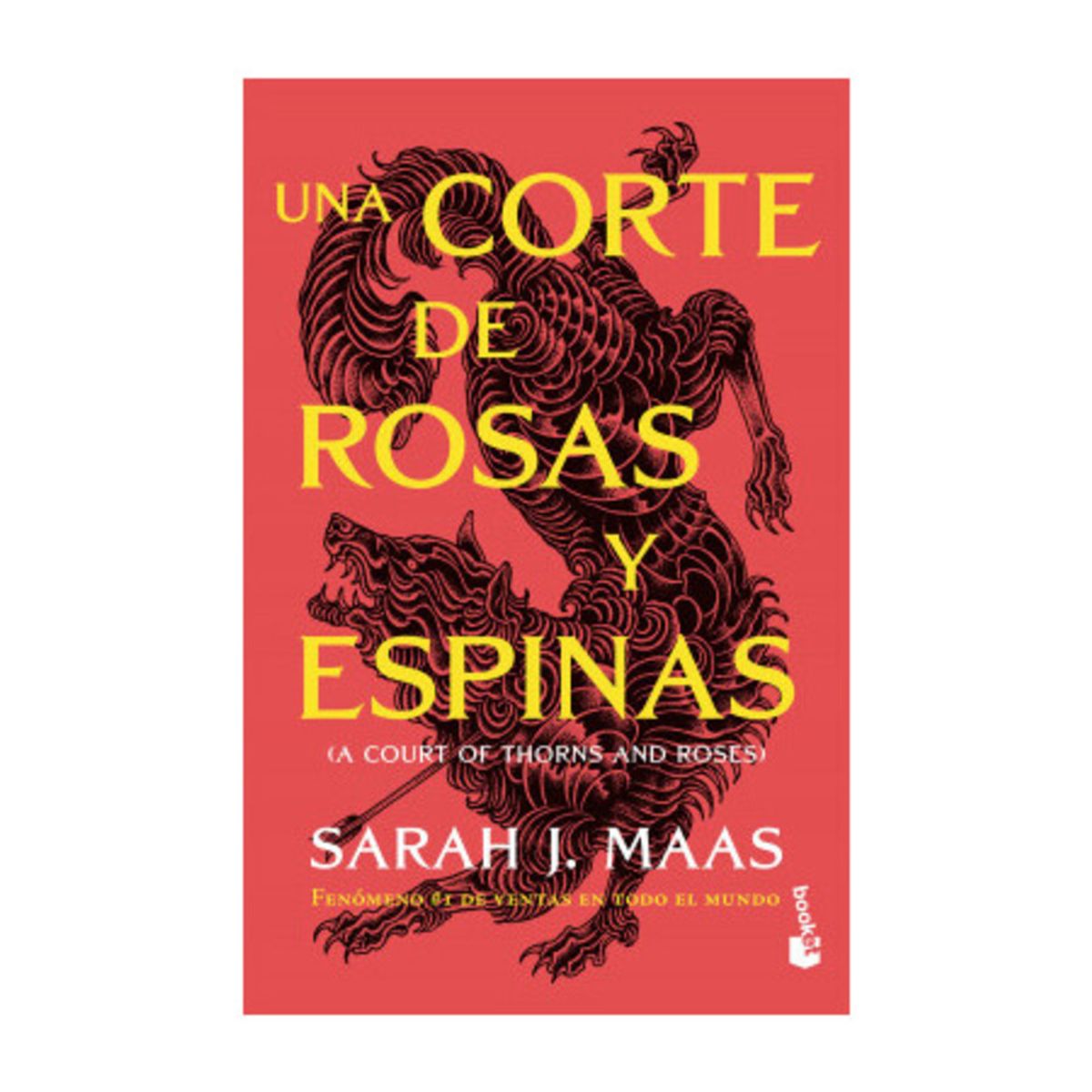 TOP10BOOKS - LIBRO Una Corte De Rosas Y Espinas - Una Corte De Rosas Y Espinas