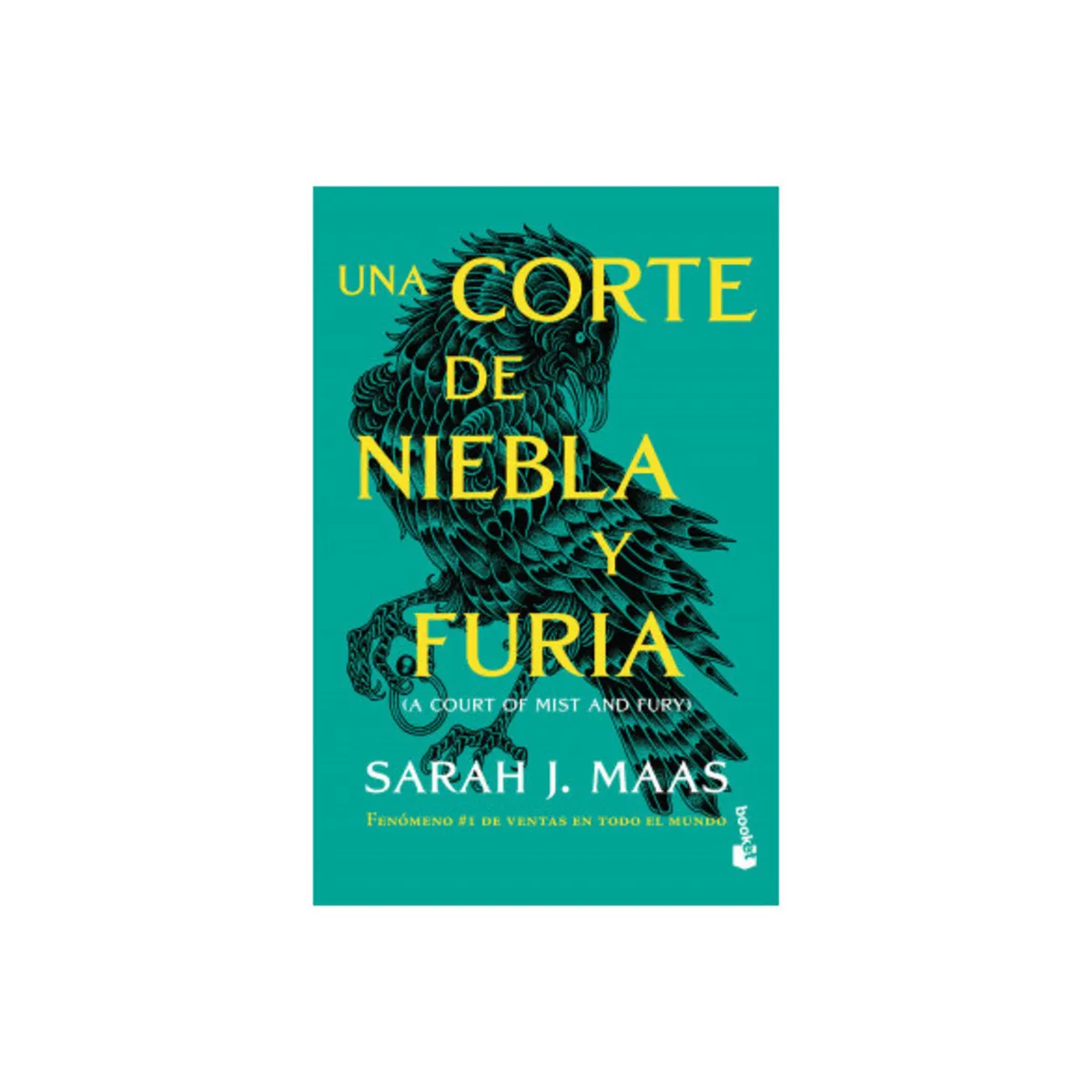 TOP10BOOKS - LIBRO Una Corte De Niebla Y Furia - Sarah J. Maas