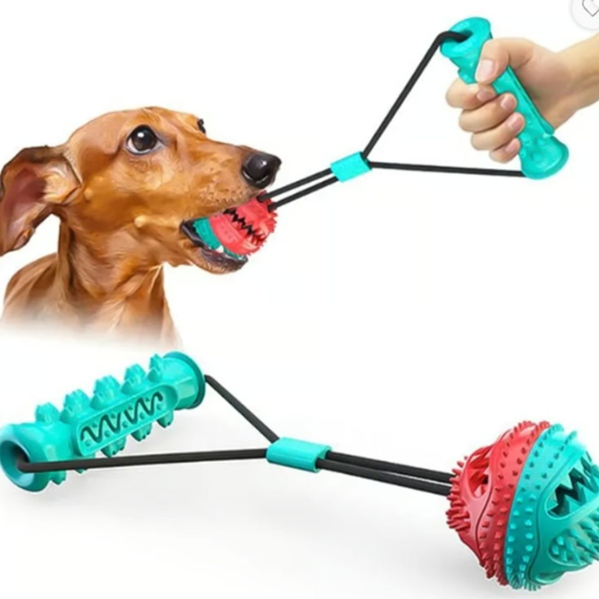 GENERICO - Juguete Interactivo Para Masticar Multifuncional Pelota