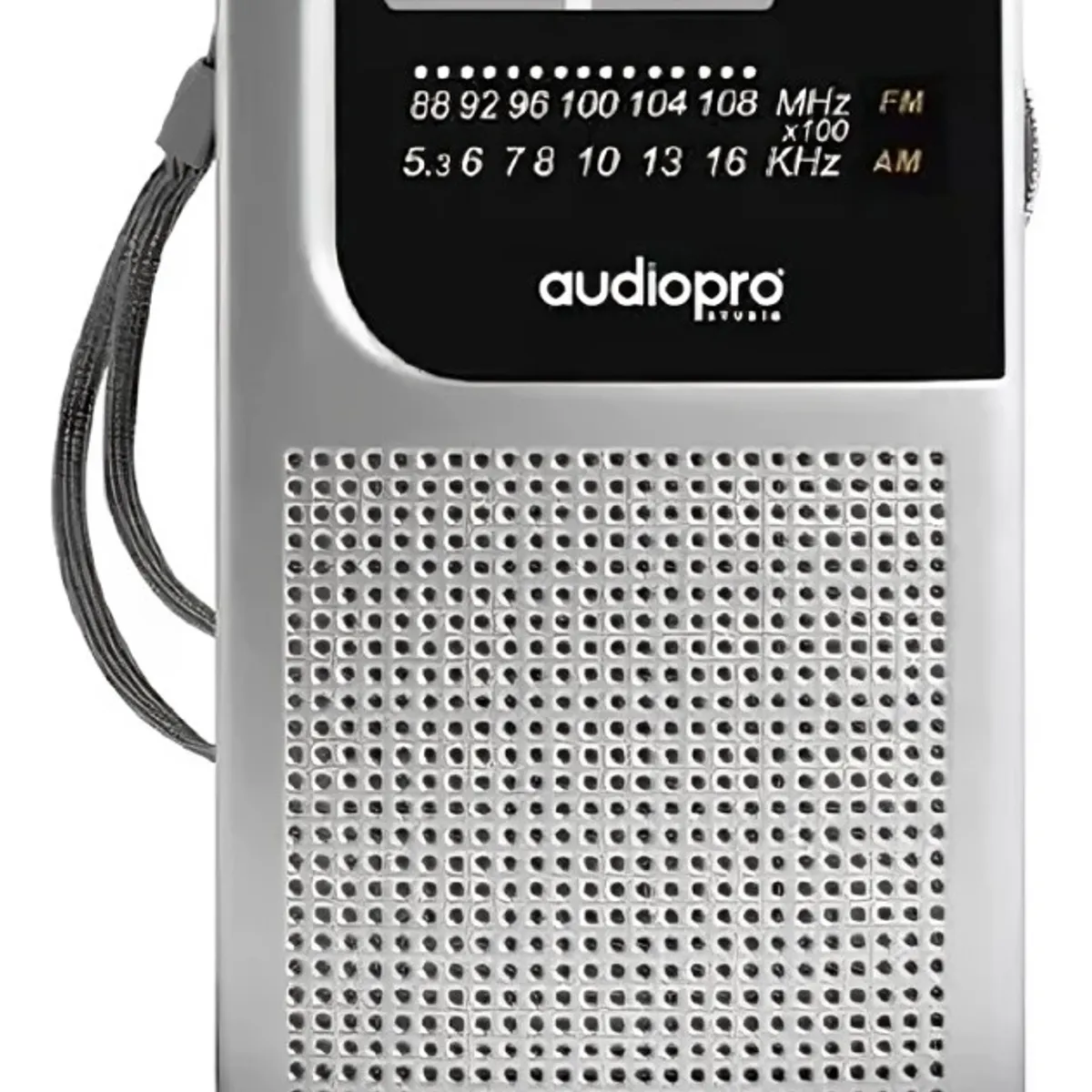 OEM - RADIO PORTATIL AUDIO PRO AM-FM