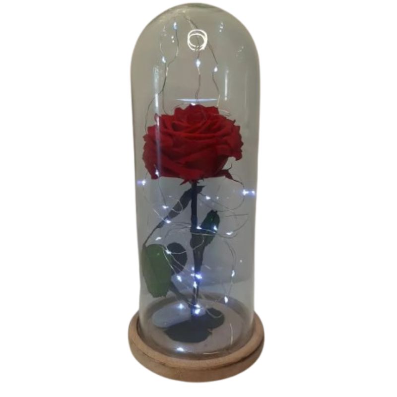 GENERICO - Rosa Larga Luces LED + Cúpula de Cristal