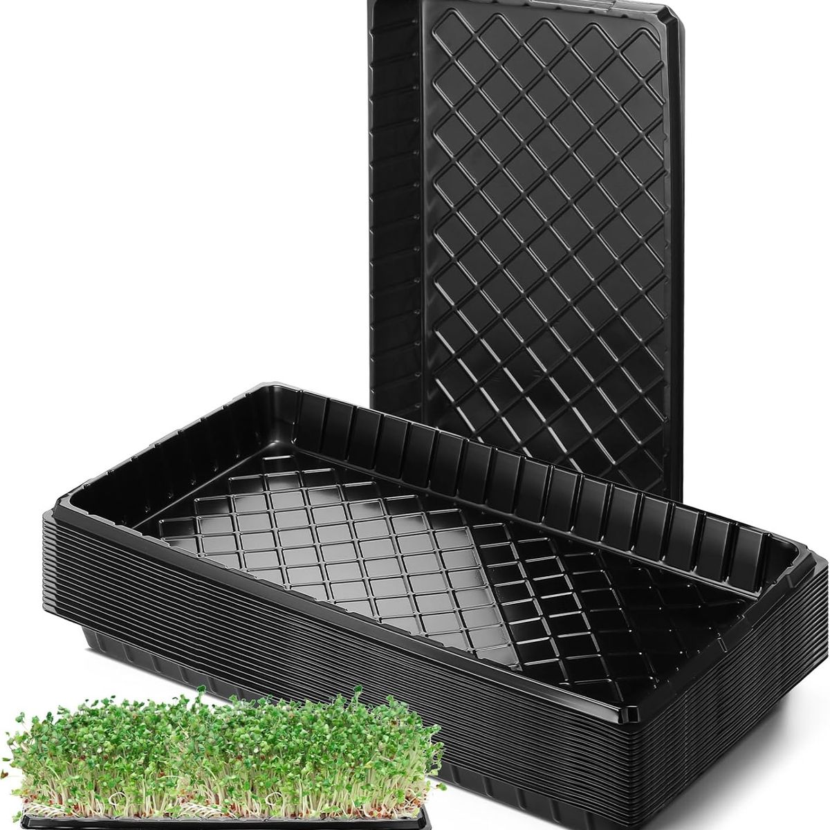 KUANGYE - Set 10× Bandeja Germinación Hidroponía Forraje Sin Agujeros